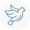 Bird Prevention Penistone