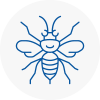 Penistone Hornet Nest Removals
