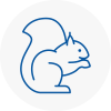 Penistone Rodent Removals