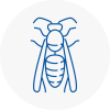Penistone Wasp Nest Removal